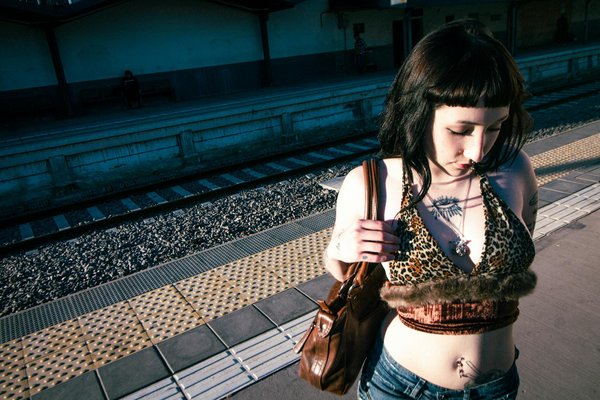 Schritt-für-Schritt-Anleitung: So wird Ihr Graupapagei zahm und passt sich perfekt in den Familienalltag ein!